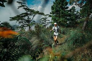 BIB: 
                            <button type="button" onclick="openModal(25258002)" class="btn btn-primary btn-sm float-right btn-popup" data-toggle="modal" data-target=".modal-high-quality">
                        <i class="fas fa-shopping-cart"></i> Add to Cart
                    </button>
                                            <button type="button" onclick="isThisMe(25258002, true)" class="btn btn-success btn-sm float-right btn-popup btn-isme hidden" data-toggle="tooltip" data-placement="bottom" title="นี่คือรูปของคุณใช่ไหม คลิกที่นี่เพื่อเอาเข้าอัลบั้ม">
                        <i class="fas fa-plus"></i> Add to album
                    </button>
                    <button type="button" onclick="isThisMe(25258002, false)" class="btn btn-warning btn-sm float-right btn-popup btn-isnotme hidden">
                        <i class="fas fa-ban"></i> Remove from album
                    </button>